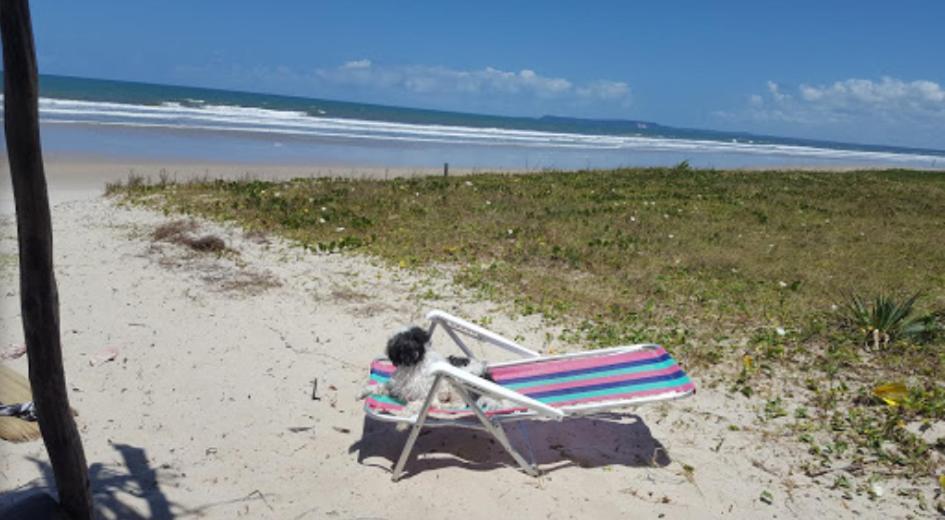 Chales Suites Pe Na Areia Guaibim Exteriér fotografie